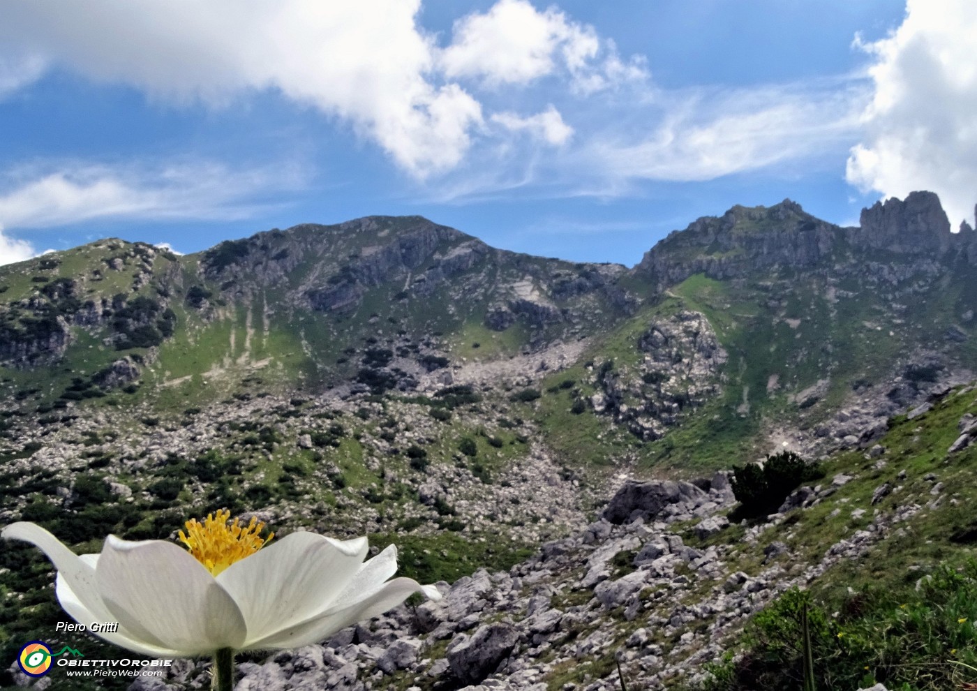 36 Pulsatilla alpina (pulsatilla alpina)    con vista in Corna Grande .JPG -                                